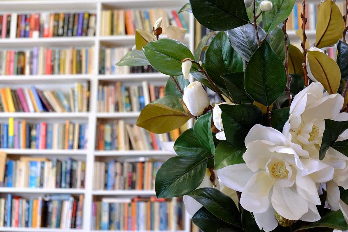 Библиотеке исполнился год. Цветы в библиотеке. Книга цветы. Цветы для библиотекаря. День библиотекаря.